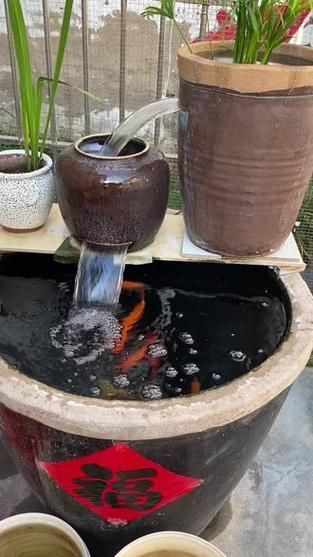 哪種魚缸殺蟲藥效果最好，如何選擇合適的魚缸殺蟲藥