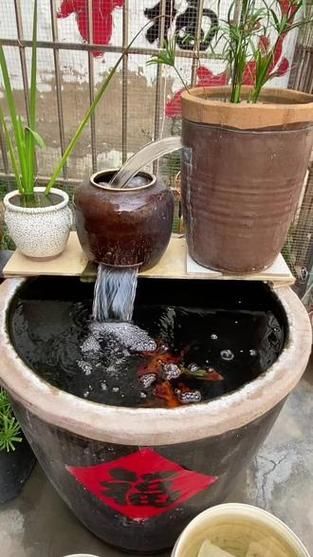 哪種魚缸殺蟲藥效果最好，如何選擇合適的魚缸殺蟲藥