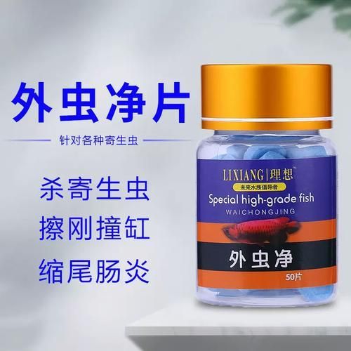 哪種魚缸殺蟲藥效果最好，如何選擇合適的魚缸殺蟲藥