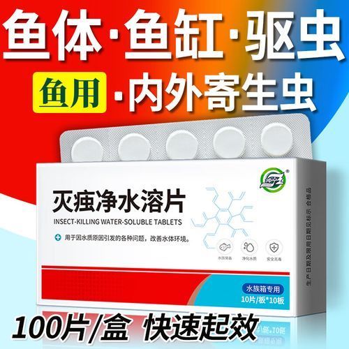 哪種魚缸殺蟲藥效果最好，如何選擇合適的魚缸殺蟲藥