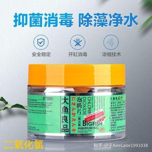 哪種魚缸殺蟲藥效果最好，如何選擇合適的魚缸殺蟲藥