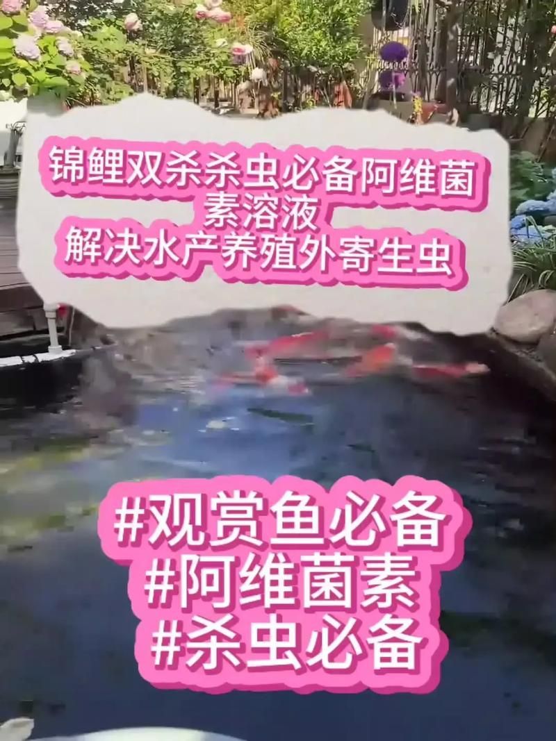 哪種魚缸殺蟲藥效果最好，如何選擇合適的魚缸殺蟲藥