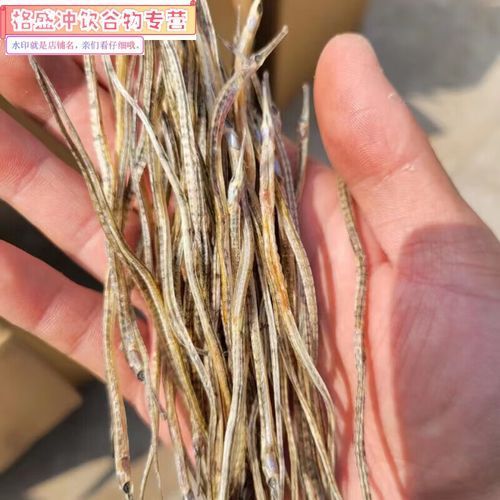 海龍魚干的價格是多少？，海龍魚干價格是多少