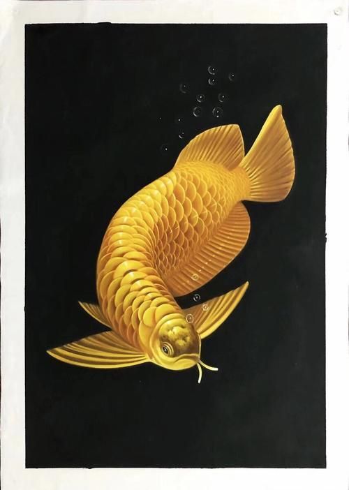 有沒有更多金龍魚壁紙推薦，金龍魚壁紙推薦