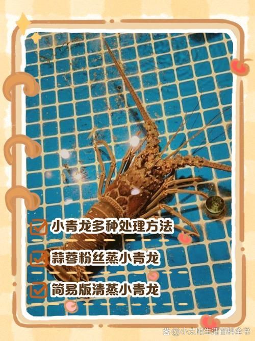 如何安全地處理龍魚干面包蟲？，如何安全地處理龍魚干面包蟲