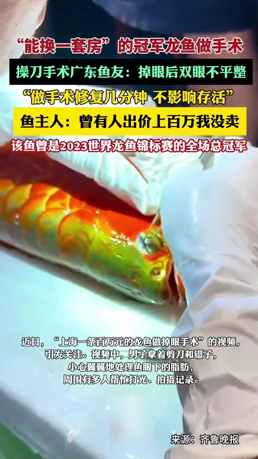 龍魚蒙眼病手術治療風險大嗎？，龍魚蒙眼病是否需要手術