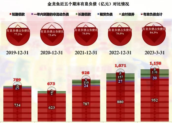 請提供一張金龍魚市場價值分析的配圖，金龍魚市場價值分析 請提供一張金龍魚市場價值分析的配圖，金龍魚市場價值分析 龍魚百科 第3張