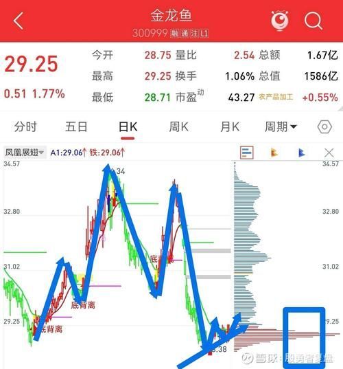 請提供一張金龍魚市場價值分析的配圖，金龍魚市場價值分析 請提供一張金龍魚市場價值分析的配圖，金龍魚市場價值分析 龍魚百科 第9張