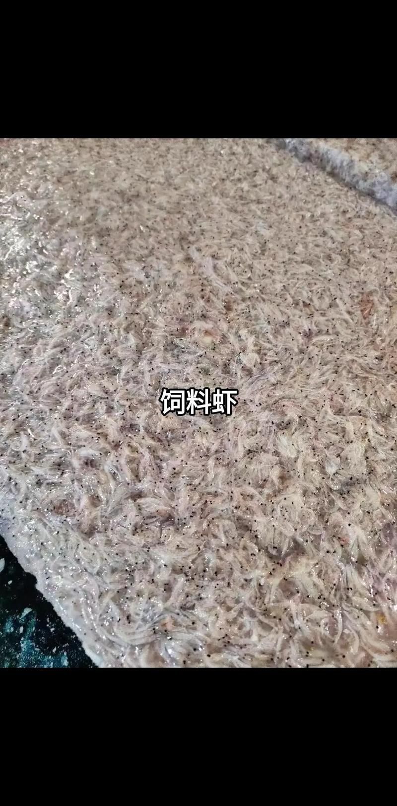 紅龍魚在人工飼養(yǎng)下如何延長壽命？