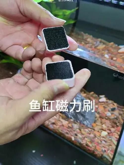 有哪些魚缸維修工具推薦，魚缸維修工具哪個品牌最好魚缸維修工具推薦