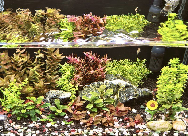 有哪些魚缸維修工具推薦，魚缸維修工具哪個品牌最好魚缸維修工具推薦