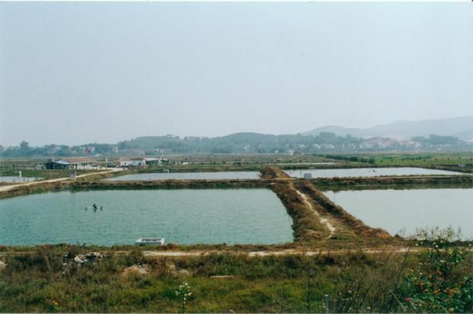 望謨縣龍魚養(yǎng)殖業(yè)的發(fā)展情況，望謨縣龍魚養(yǎng)殖業(yè)