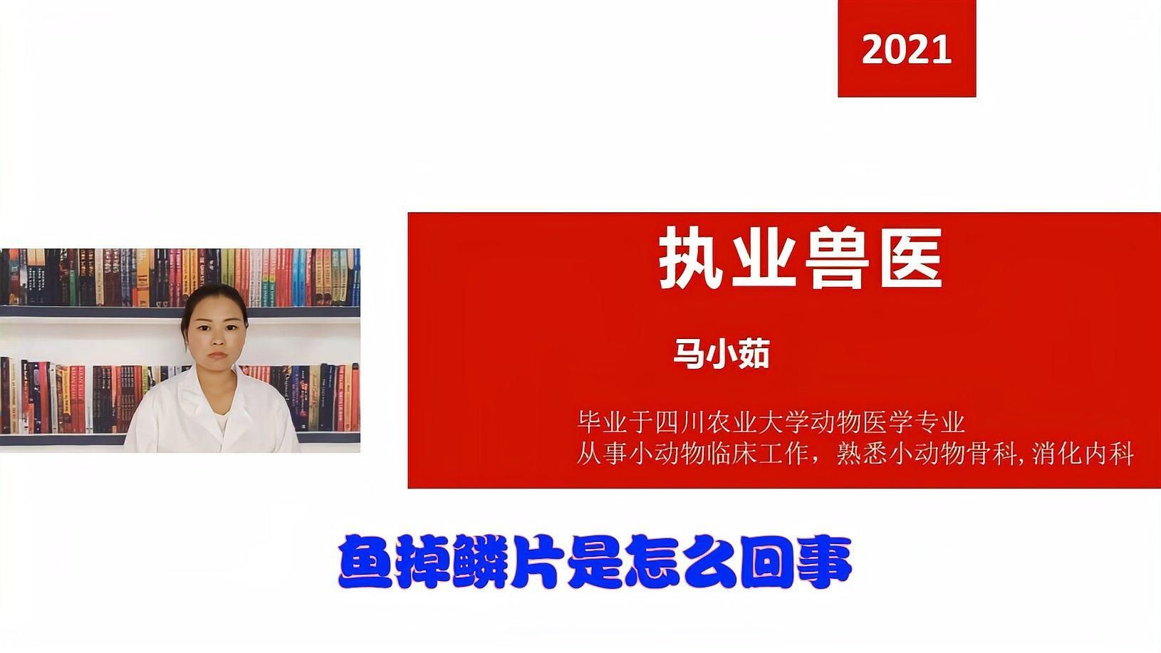 如何判斷魚鱗片脫落和潰爛的原因，魚鱗片脫落和潰爛是養(yǎng)殖魚類常見的問題