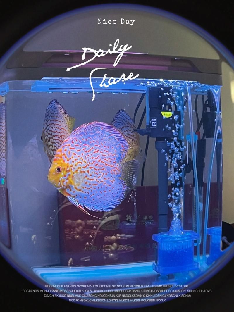 有哪些適合七條魚的魚缸推薦，7條魚家庭養(yǎng)魚維護周計劃表