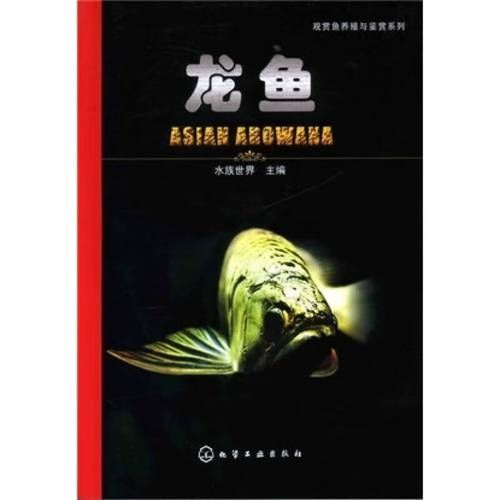 《大道龍魚》的內容簡介是什么，《大道龍魚大道》1000字簡介與官方配圖、劇情場景圖
