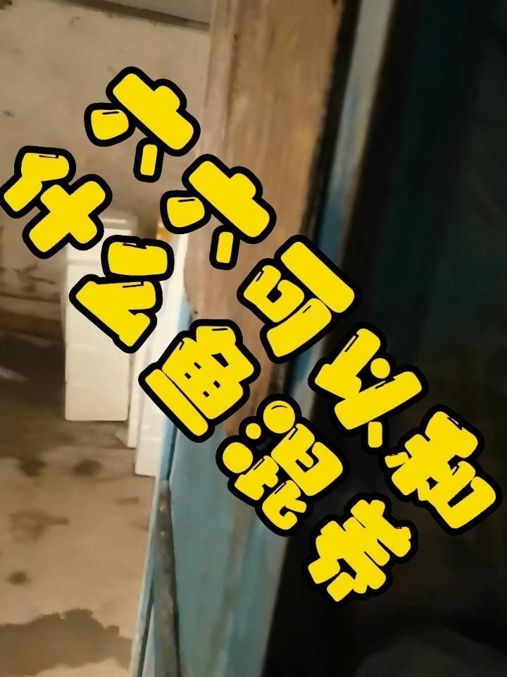 推薦一些適合與六角龍魚混養的生物，六角恐龍可以和什么魚一起混養