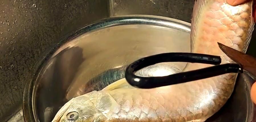 鄭州龍魚事件的后續(xù)進(jìn)展如何？，鄭州龍魚事件后續(xù)進(jìn)展