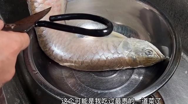 鄭州龍魚事件的后續(xù)進(jìn)展如何？，鄭州龍魚事件后續(xù)進(jìn)展