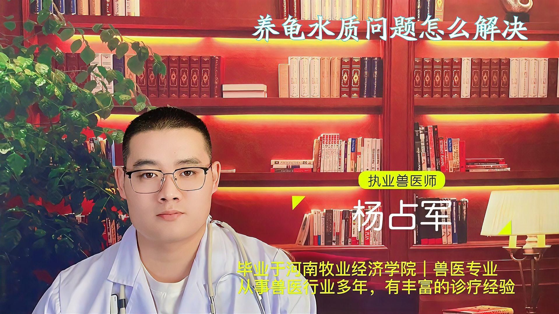 龍龜在魚缸中如何保持清潔，如何保持龍龜水質穩定