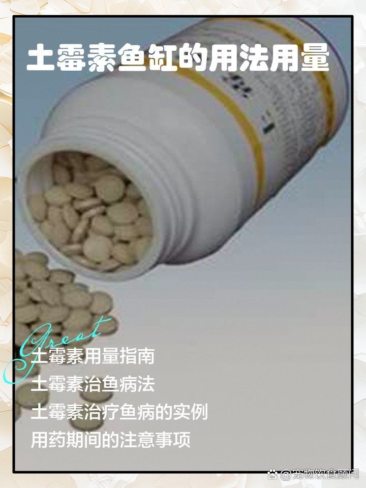 如何正確使用漁藥治療虎斑恐龍魚，虎斑恐龍魚養殖技術