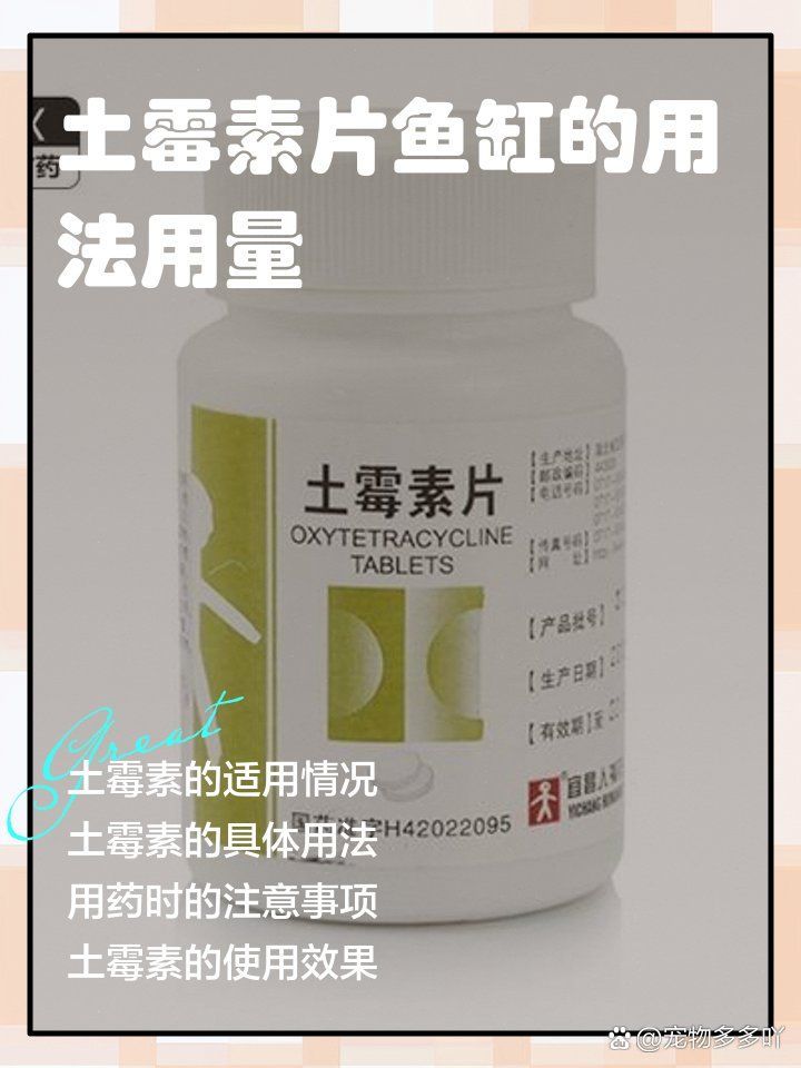 如何正確使用漁藥治療虎斑恐龍魚，虎斑恐龍魚養殖技術