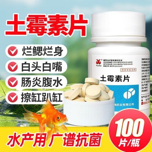 如何正確使用這三種藥物治療龍魚？，如何正確使用三種藥物治療龍魚