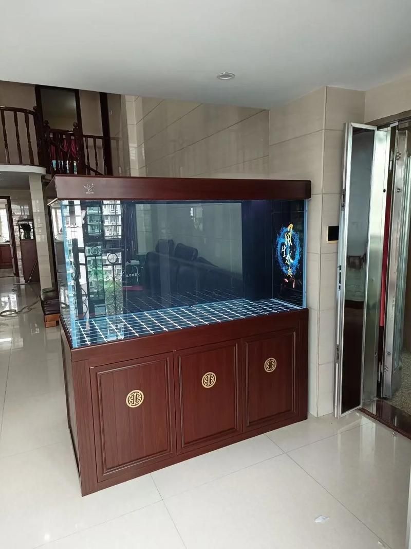 雙城區有哪些可靠的龍魚供應商？，哈爾濱市雙城區的龍魚供應商