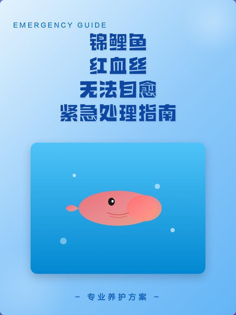 魚身有紅血絲怎么處理，身出現(xiàn)紅血絲是由多種原因造成的，如何預(yù)防魚身紅血絲