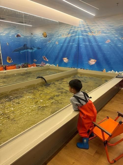 錢龍龍魚體驗館有哪些互動體驗項目，錢龍龍魚體驗館有哪些主要互動體驗項目錢龍龍魚體驗館