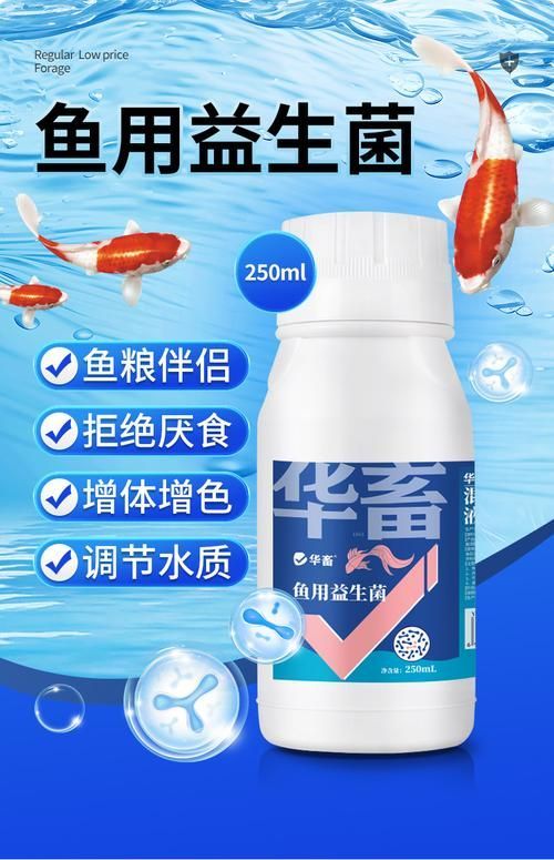 有哪些品牌錦鯉魚缸益生菌推薦？，錦鯉魚缸專用益生菌品牌biozym主打“錦鯉活力配方”