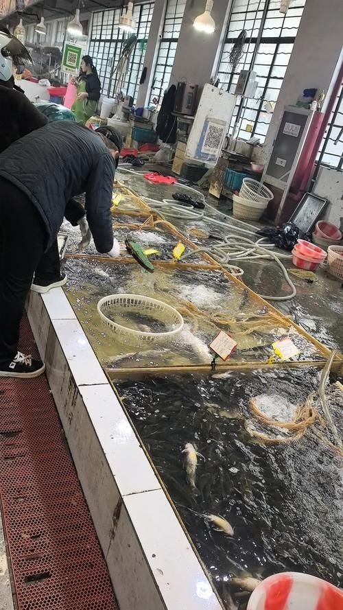 如何在生鮮電商平臺上找到從化龍魚？，如何在生鮮電商平臺上找到“從化龍魚”