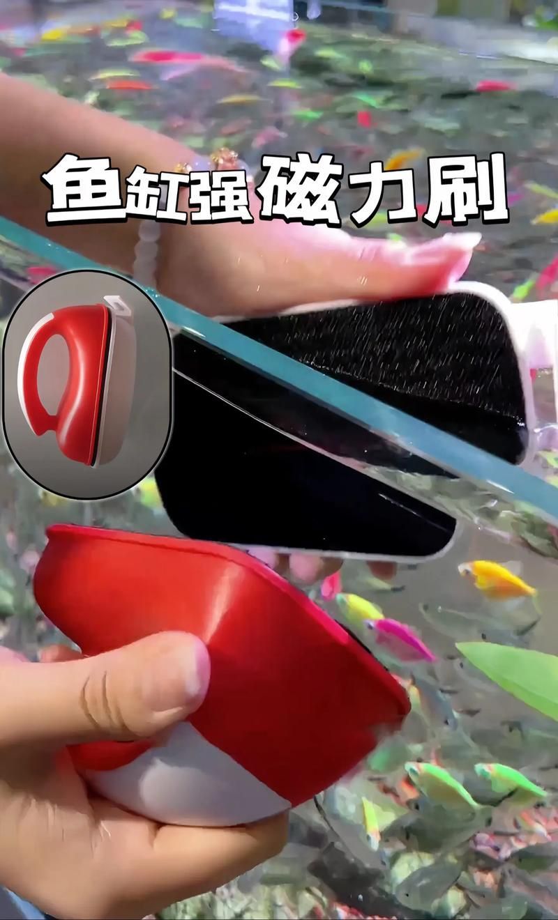 有哪些魚缸清潔工具推薦，水族箱清潔工具推薦