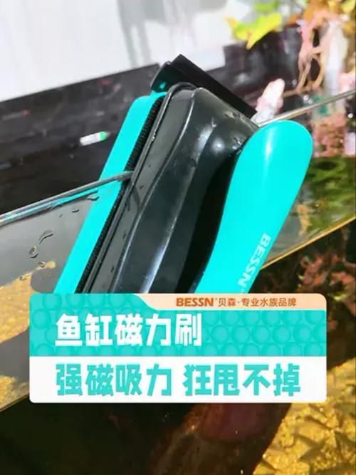 有哪些魚缸清潔工具推薦，水族箱清潔工具推薦