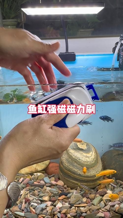 有哪些魚缸清潔工具推薦，水族箱清潔工具推薦