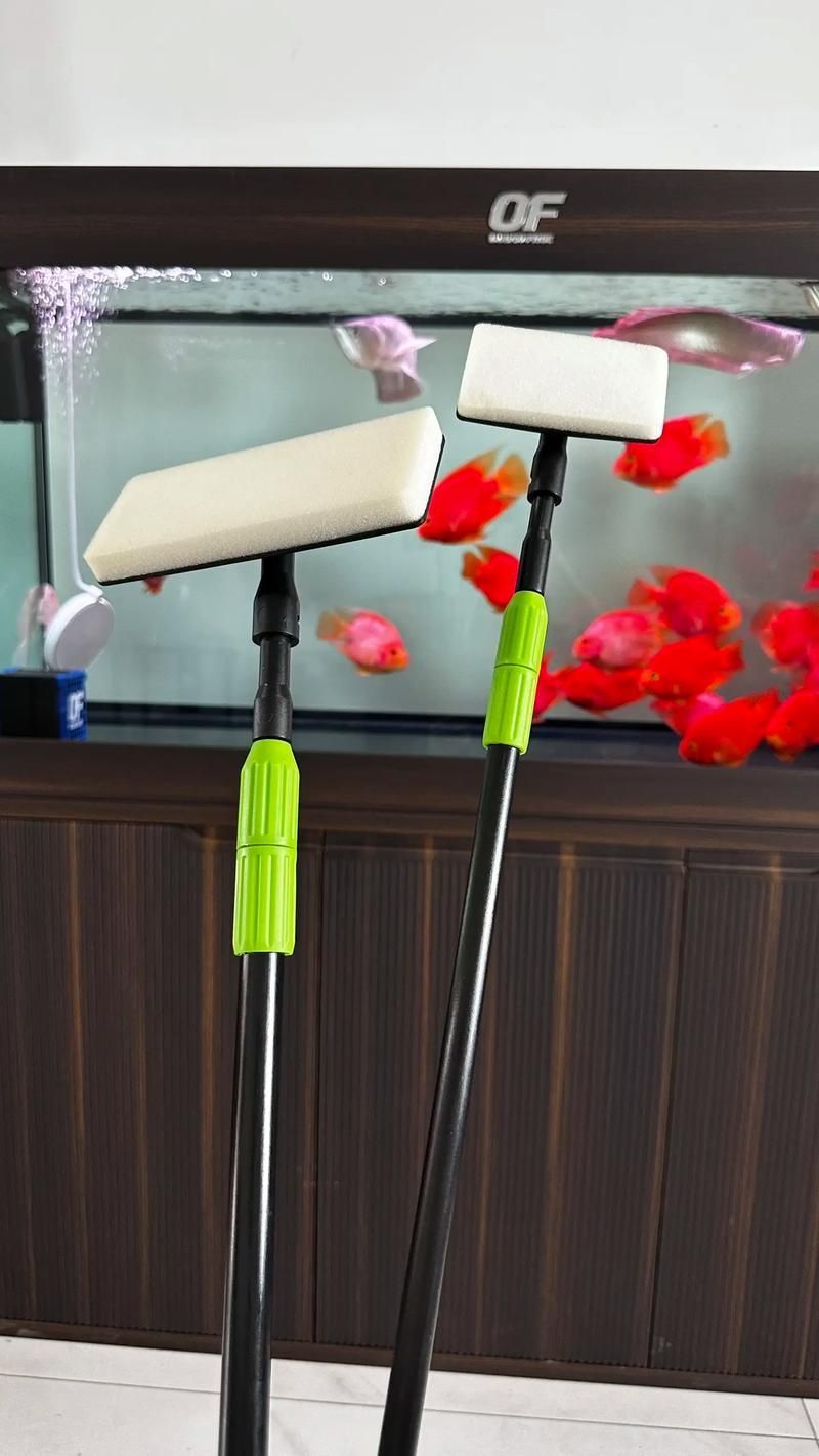 有哪些魚缸清潔工具推薦，水族箱清潔工具推薦