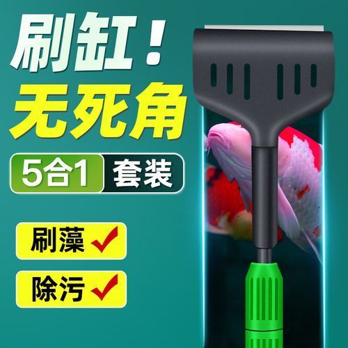 有哪些魚缸清潔工具推薦，水族箱清潔工具推薦