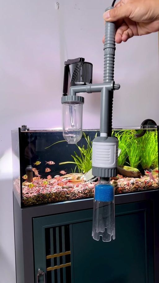 有哪些魚缸清潔工具推薦，水族箱清潔工具推薦