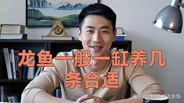 推薦一些龍魚飼養的視頻教程，龍魚飼養視頻教程