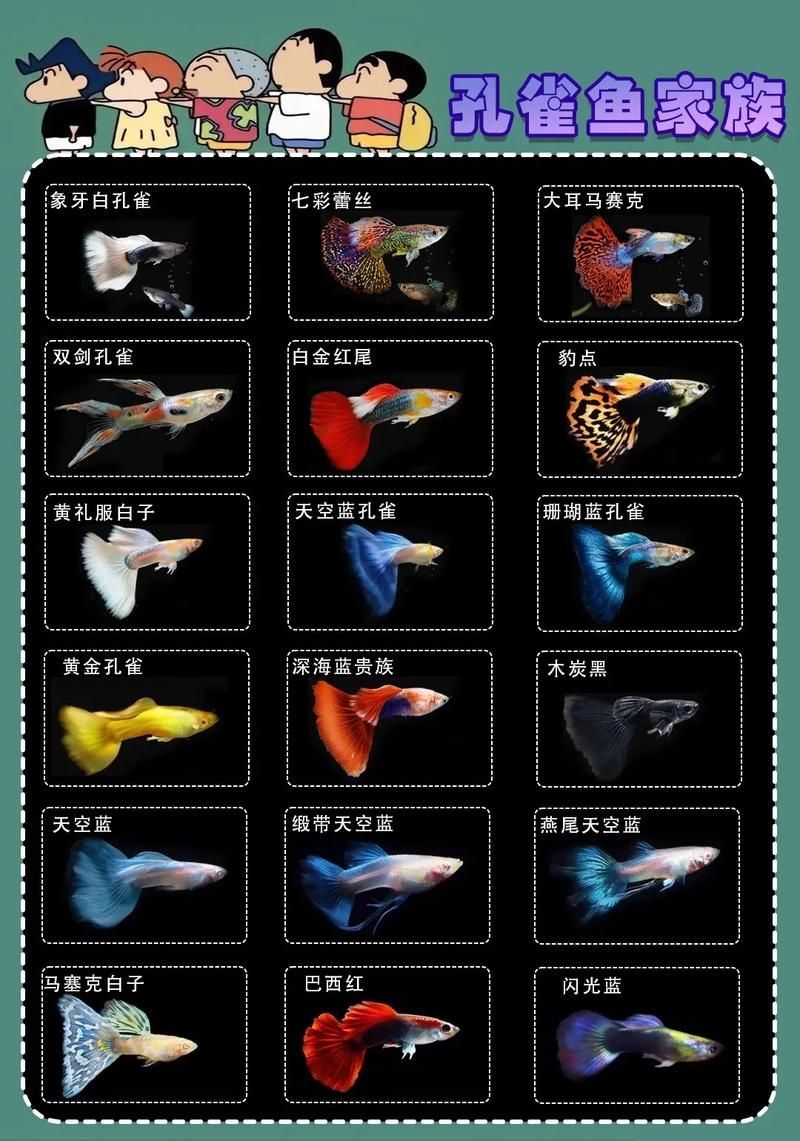 觀賞魚(yú)種類(lèi)大全，觀賞魚(yú)種類(lèi)大全：淡水與海水經(jīng)典品種詳解