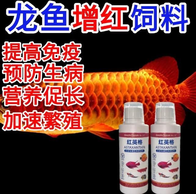 哪些水果對大湖紅龍魚有益？，大湖紅龍魚對大湖紅龍魚有益–水果對大湖紅龍魚有益