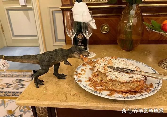 杰西卡恐龍魚的最佳喂食時間，杰西卡恐龍魚最佳喂食實拍圖、視頻教程及專家建議