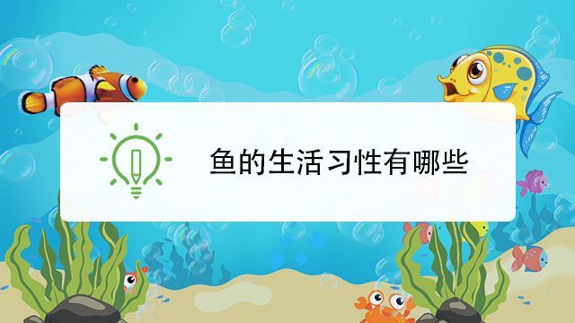 如何判斷兩種魚的習性是否匹配，判斷兩種魚的習性是否匹配，核心在于觀察它們在于觀察
