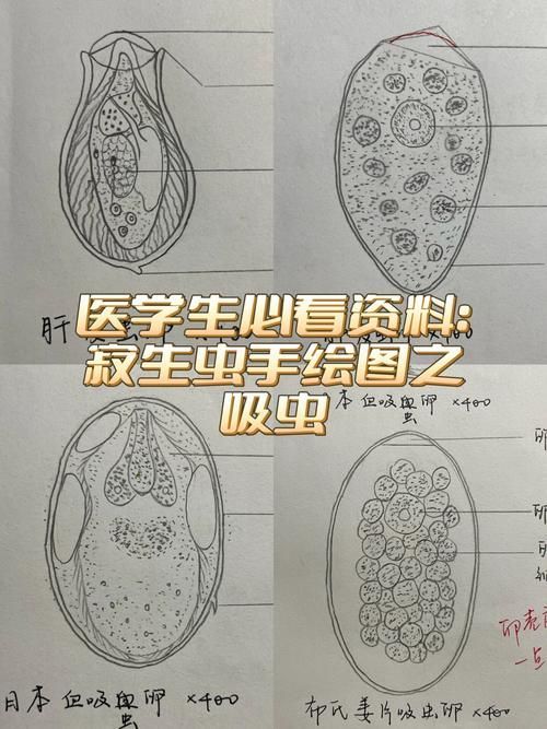 如何預防魚寄生蟲感染，思考完成調用工具arxiv論文助手