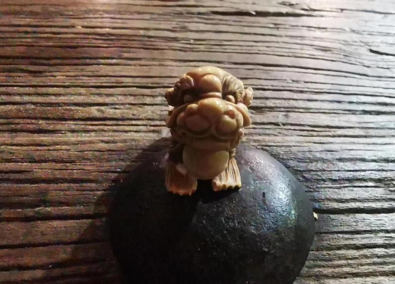 龍魚寓意什么意思，龍魚風水擺放指南