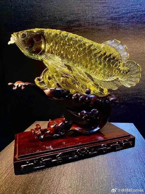 龍魚飾品有哪些款式 龍魚飾品有哪些款式 龍魚百科 第10張