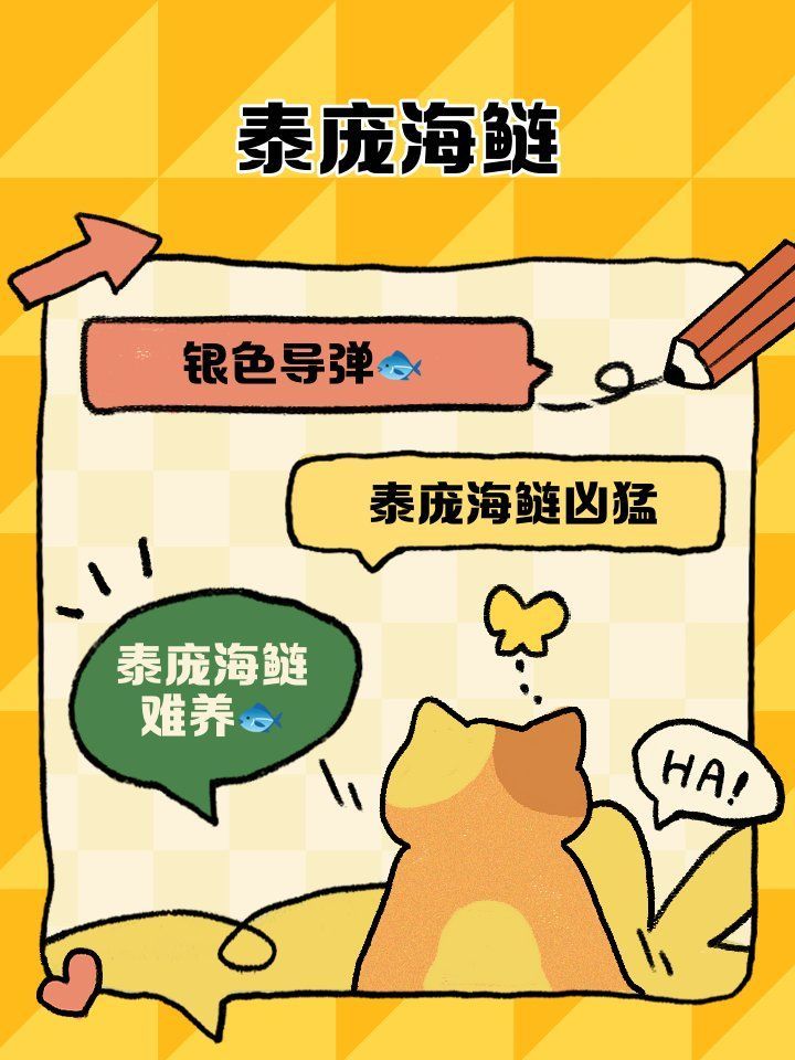 泰龐海鰱魚，龐海鰱魚，學(xué)名pangasiusspp 泰龐海鰱魚，龐海鰱魚，學(xué)名pangasiusspp 龍魚百科 第2張