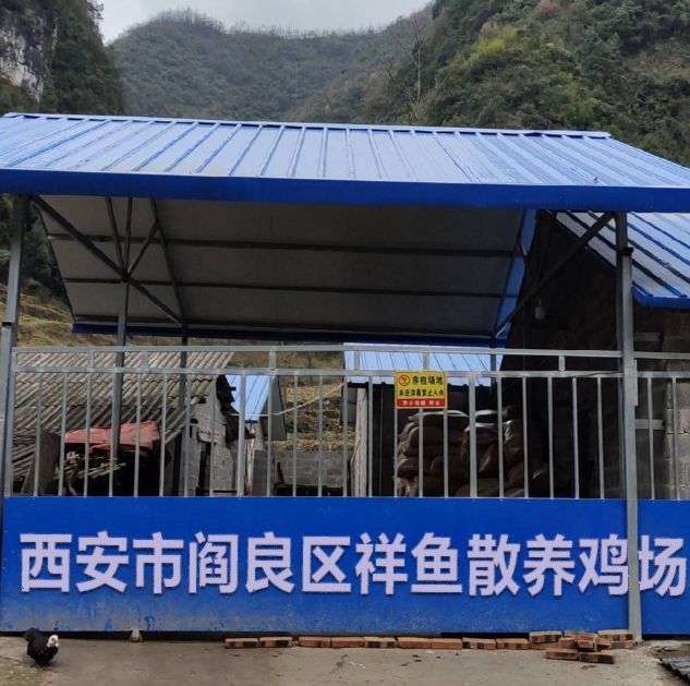 祥龍魚場有哪些分店地址？，祥龍魚場西安分店信息 祥龍魚場有哪些分店地址？，祥龍魚場西安分店信息 龍魚百科