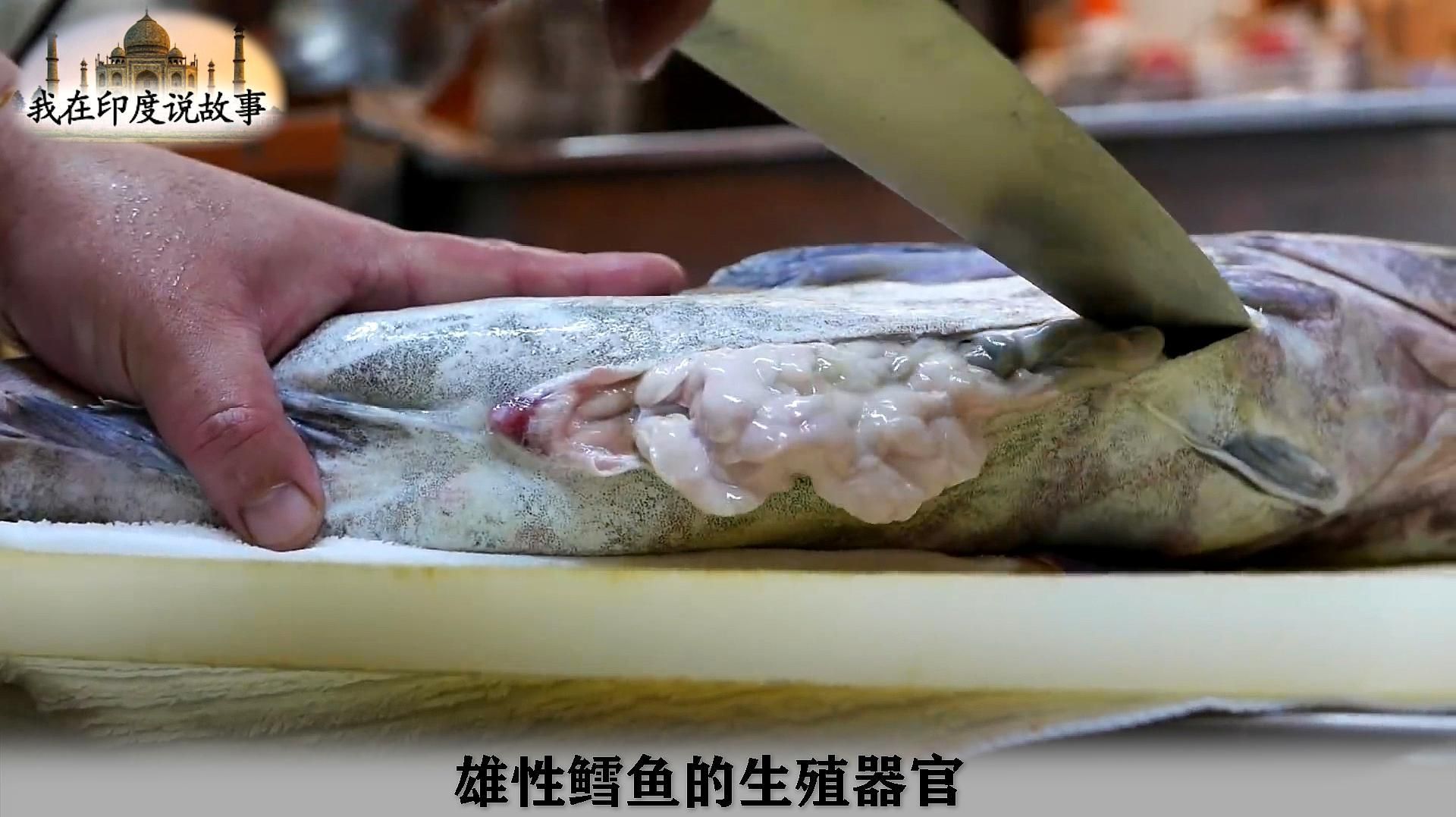 哪些魚的魚白可以食用，魚白是什么廚師長教你魚白的做法,嫩滑入味還不腥