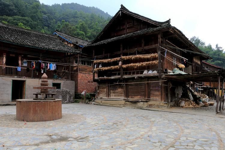水族傳統建筑有哪些特點？，祥龍魚場的主要品種