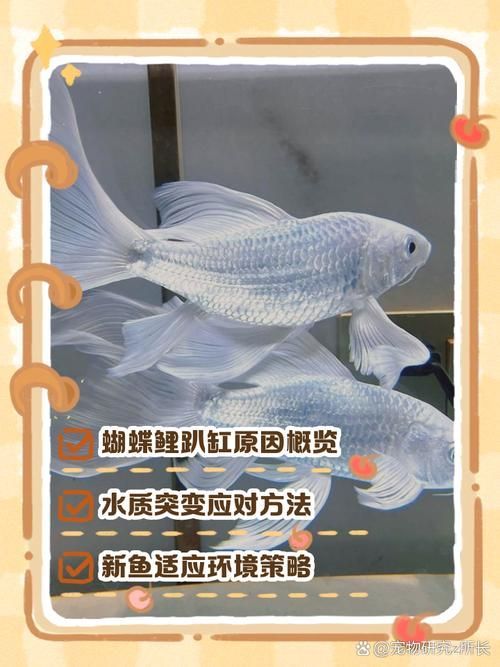 如何預防金魚趴缸底，北京地區冬季金魚趴缸底的成因與預防